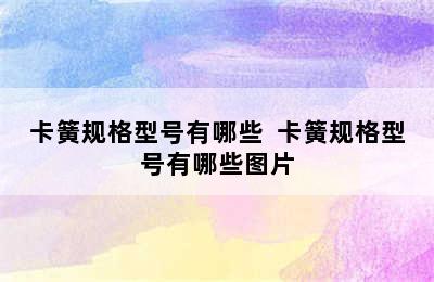 卡簧规格型号有哪些  卡簧规格型号有哪些图片